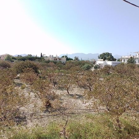 Miranta Hotel - Apartments & Studios Aegina Экстерьер фото
