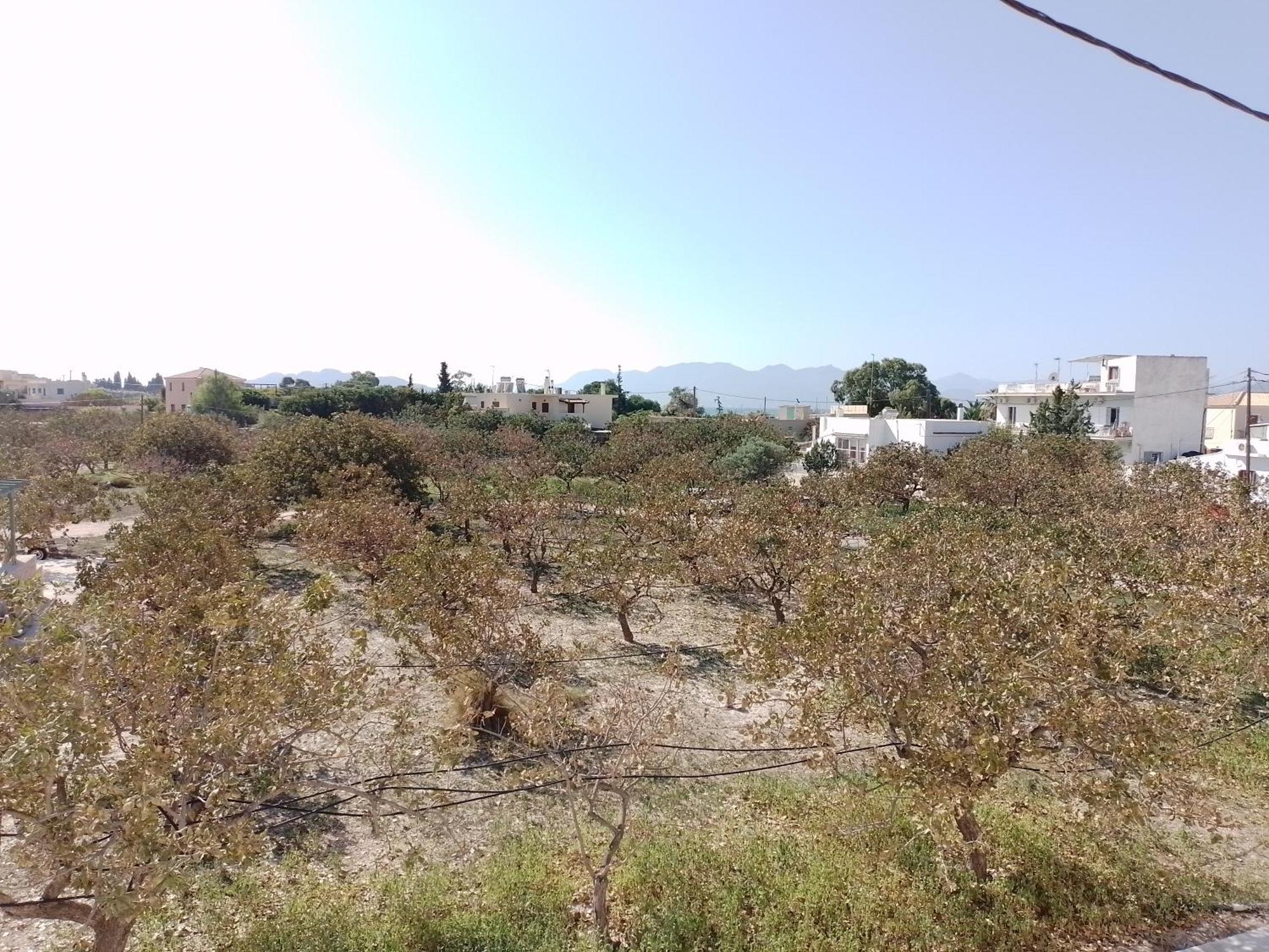 Miranta Hotel - Apartments & Studios Aegina Экстерьер фото